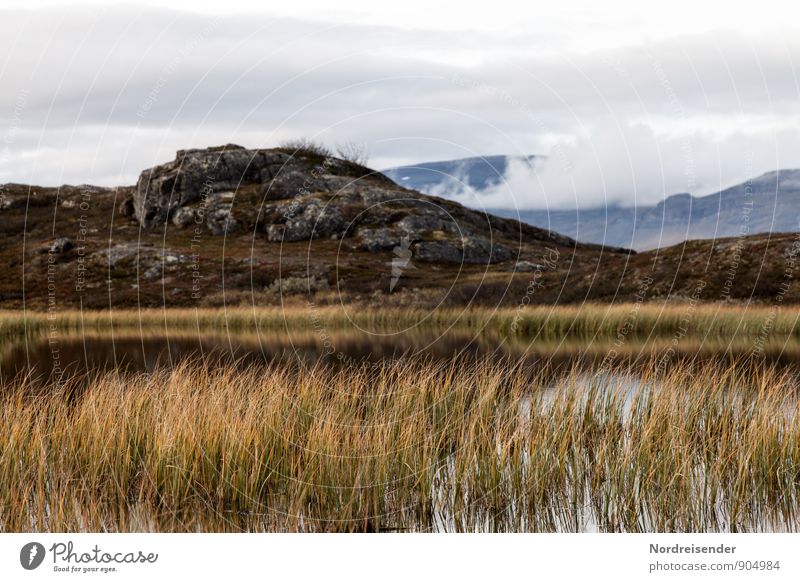 Bergsee Ausflug Ferne Berge u. Gebirge wandern Natur Landschaft Pflanze Urelemente Luft Wasser Himmel Wolken Klima Hügel Felsen Moor Sumpf See Erholung