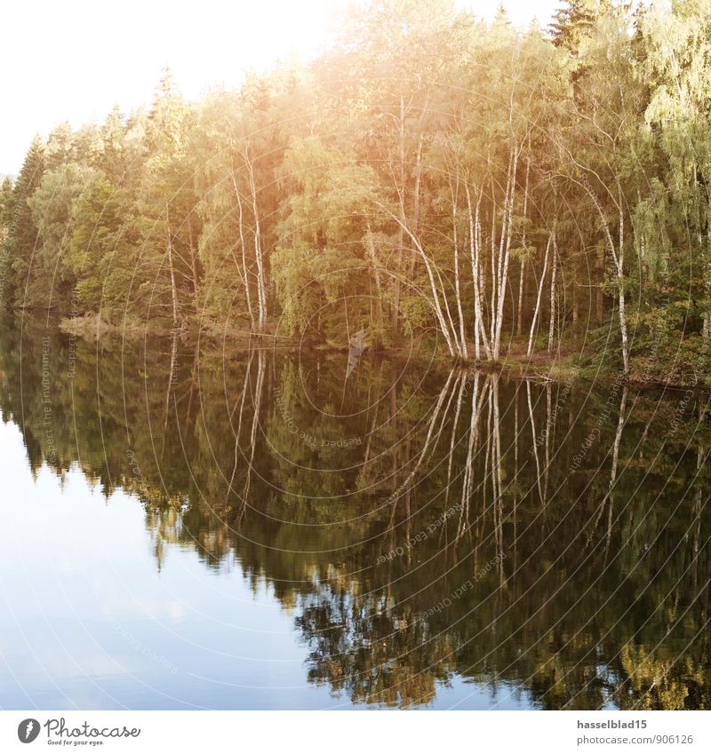 Land unter... Glück Gesundheit Allergie Wellness Leben harmonisch Wohlgefühl Zufriedenheit Sinnesorgane Erholung ruhig Meditation Duft Schwimmen & Baden Angeln