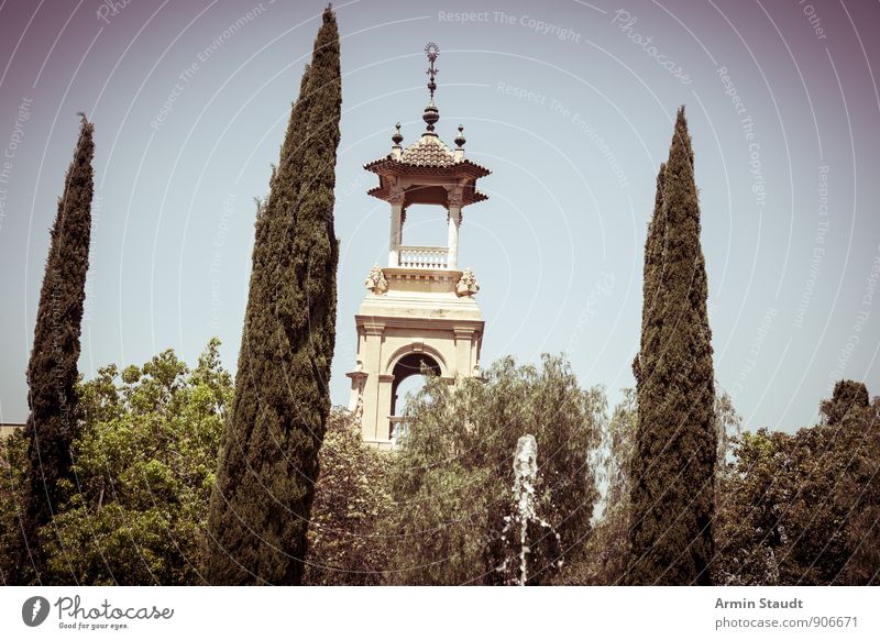 Zypressen, Springbrunnen, Türmchen Sommerurlaub Natur Wolkenloser Himmel Schönes Wetter Pflanze Baum Sträucher Park Barcelona Stadt Menschenleer