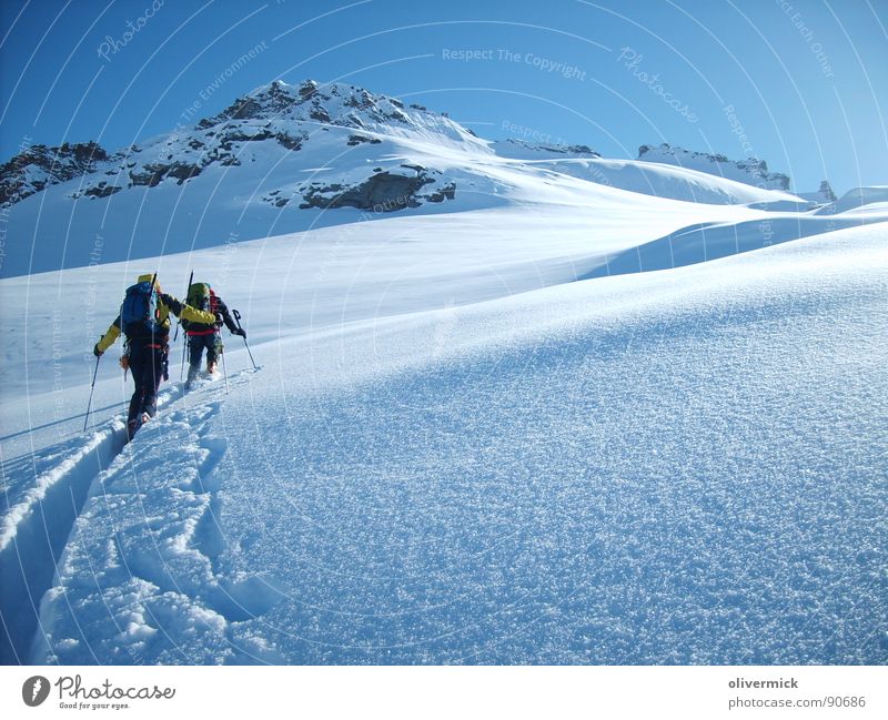 weg zum gran paradiso Skitour Stimmung Bergsteigen Gran Paradiso Gipfel weiß Winter Winterstimmung Schneekristall Sport Spielen Berge u. Gebirge