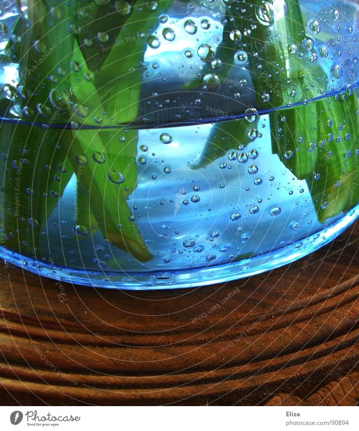 Luftbläschen Luftblase Stengel Vase Holztisch rund gekrümmt grün Blume atmen Flüssigkeit braun abgestanden aufsteigen Sauerstoff Seifenblase Glasschüssel zyan