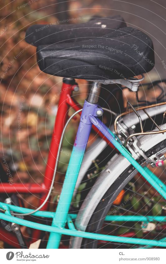 fahrräder sportlich Freizeit & Hobby Herbst Verkehr Verkehrsmittel Fahrradfahren Fahrradtour Fahrradsattel alt dreckig rot türkis Pause Farbfoto Außenaufnahme