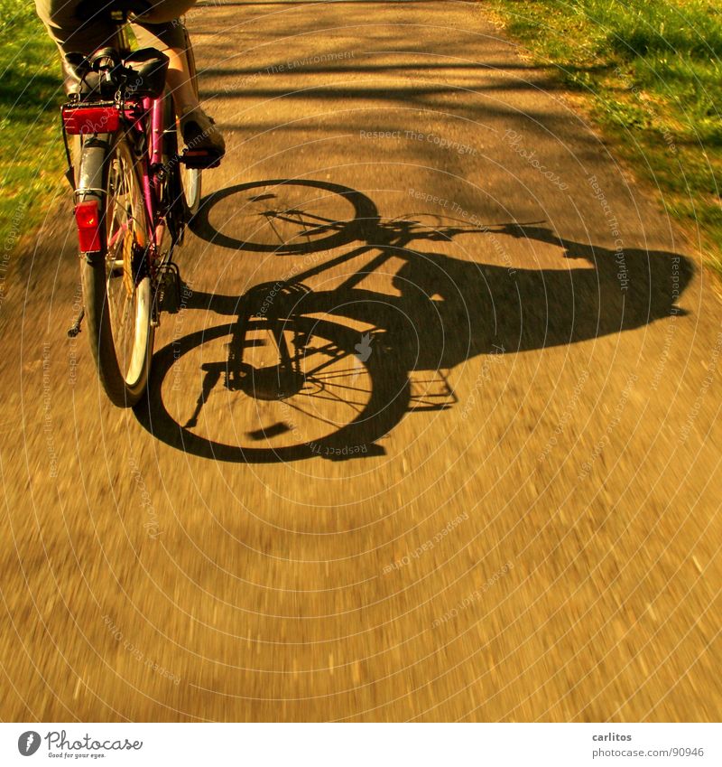 Sonntagsausflug 4 Fahrrad Ausflug Sommer Fahrradweg Fahrradtour Freizeit & Hobby Gesundheit Schatten Anschnitt Bildausschnitt Detailaufnahme Rückansicht