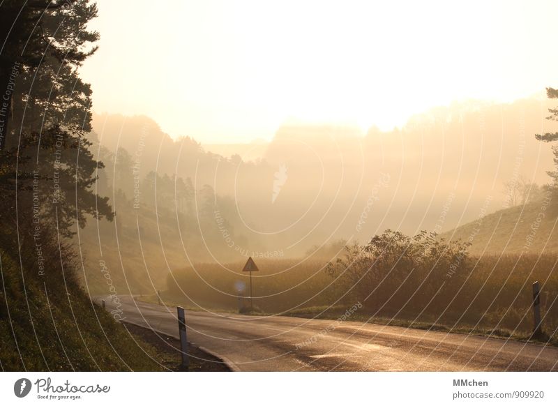 Morgen.Sonne. Umwelt Natur Landschaft Himmel Herbst Klima Wetter Nebel Feld Hügel Felsen Verkehrswege Straßenverkehr Verkehrszeichen atmen entdecken achtsam