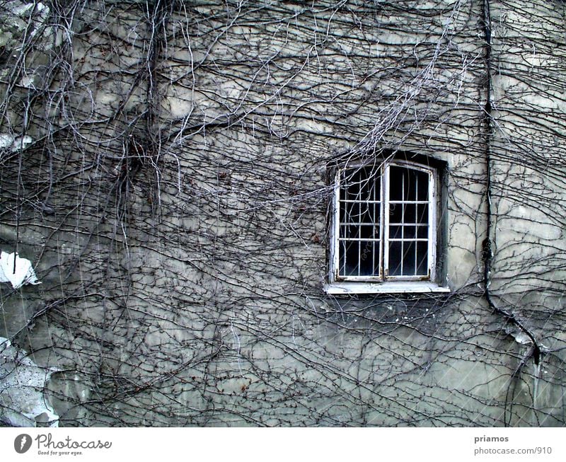 Rapunzel laß dein haar herunter Fenster Fassade Verfall Mauer Strukturen & Formen Architektur alt