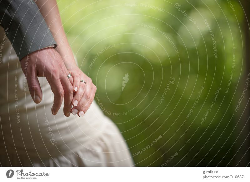 Hände | Eheringe Accessoire Schmuck Ring Zeichen Vertrauen Sicherheit Liebe Verliebtheit Hochzeit Hand Verlobung Hochzeitspaar Farbfoto Außenaufnahme
