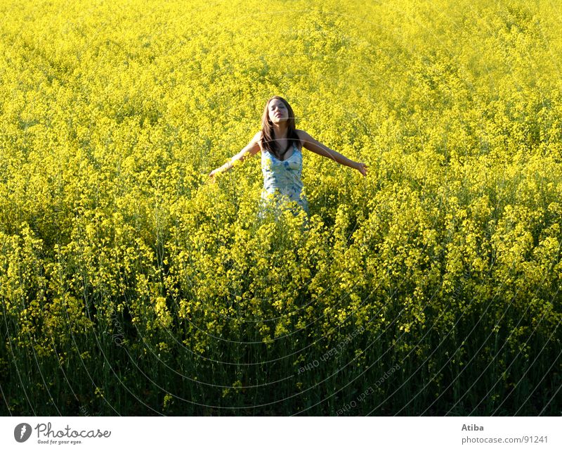 sonnenanbeter Raps gelb Feld Landwirtschaft feminin Kleid Gebet Sommer Frühling Erdöl genießen Farbe