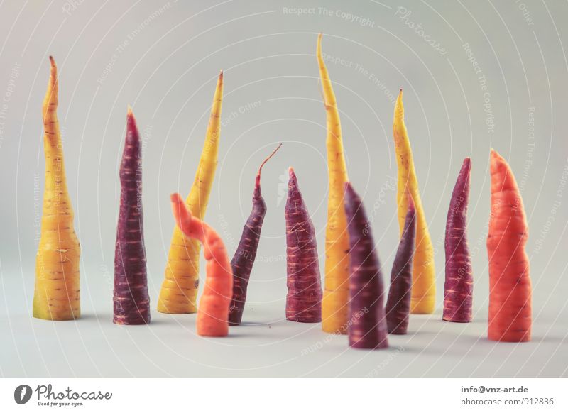 Karotten Lebensmittel Möhre Ernährung Bioprodukte Vegetarische Ernährung frisch Gesundheit gelb orange Farbfoto Innenaufnahme Studioaufnahme Menschenleer