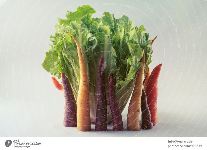 Gemüse Lebensmittel Salat Salatbeilage Ernährung Bioprodukte Vegetarische Ernährung Diät genießen gut gelb Gesundheit Möhre Anordnung Farbfoto Innenaufnahme