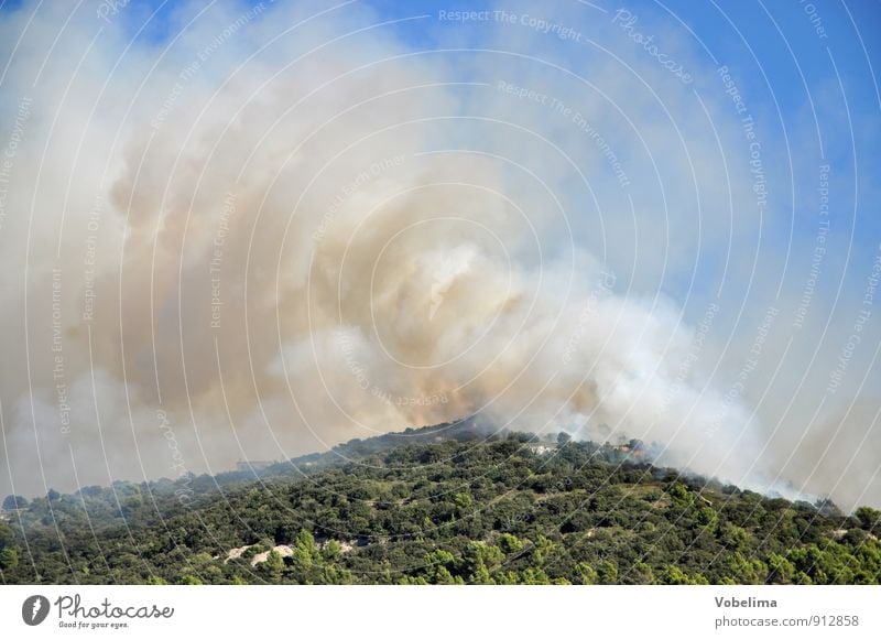 Waldbrand auf Mallorca Berge u. Gebirge Umwelt Natur Landschaft Urelemente Feuer Himmel Wärme Dürre Gipfel Rauch bedrohlich blau braun grün Angst gefährlich