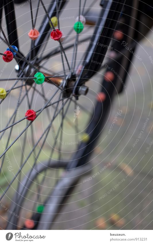 zusammen. Freizeit & Hobby Fahrradfahren Stadt Verkehr Straße Wege & Pfade Fahrradständer Fahrradreifen Speichen Metall Kunststoff Kugel Linie stehen trendy