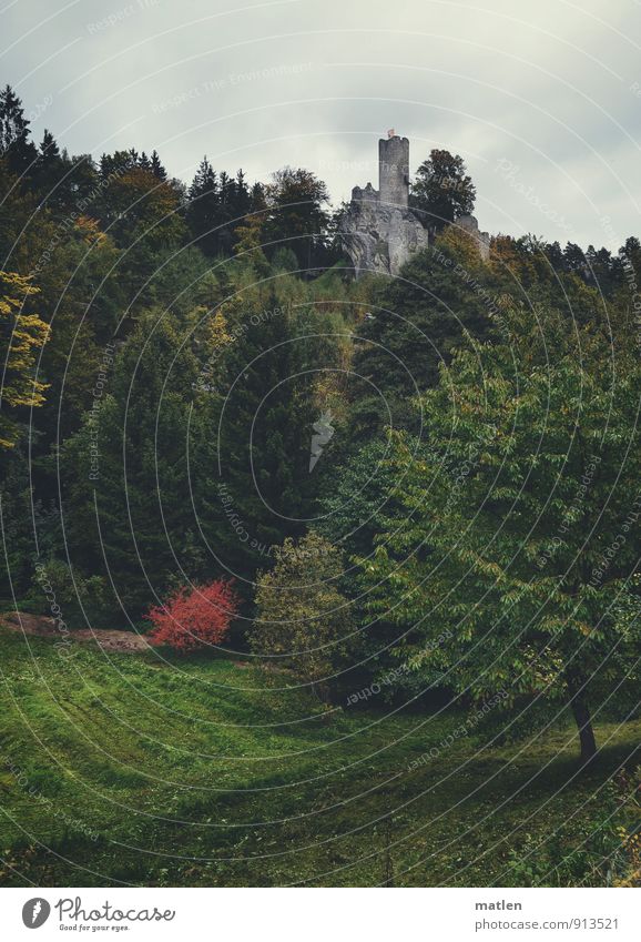 ja, so warn`s I Landschaft Pflanze Himmel Wolken Herbst schlechtes Wetter Baum Gras Sträucher Garten Wald Berge u. Gebirge Burg oder Schloss Ruine Wahrzeichen