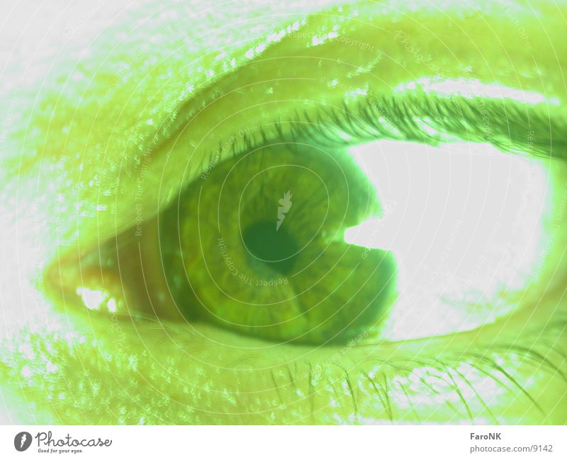 Auge Wimpern grün Makroaufnahme Nahaufnahme Regenbogenhaut