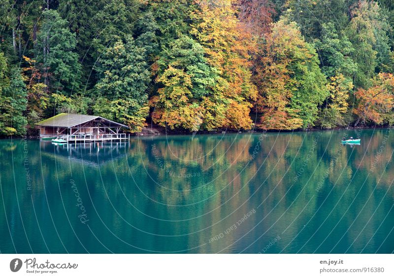 Traumherbst Ferien & Urlaub & Reisen Tourismus Ausflug 3 Mensch Natur Landschaft Herbst Herbstwald Wald See Alpsee Ruderboot Tretboot Kitsch gelb grün türkis