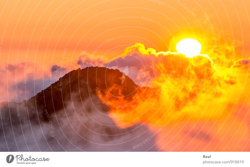 Über den Wolken Natur Landschaft Urelemente Erde Feuer Himmel Sonne Sonnenaufgang Sonnenuntergang Sonnenlicht Sommer Wetter Nebel Hügel Felsen Berge u. Gebirge