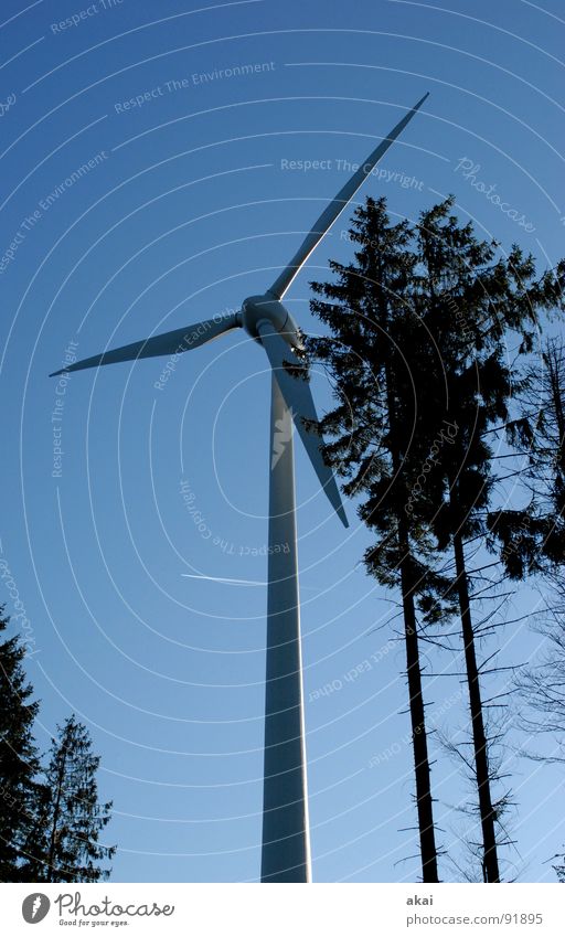 Windkraft am Roßkopf 5 Himmel Nadelbaum Wald himmelblau Geometrie Laubbaum Perspektive Nadelwald Waldwiese Paradies Waldlichtung Windkraftanlage Elektrizität