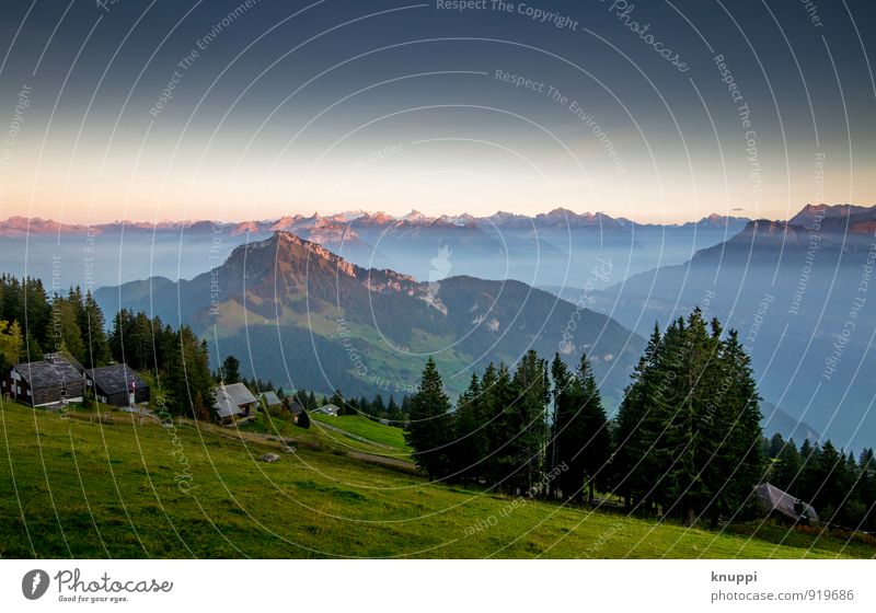 Rigi Scheidegg / Zentralschweiz Nr.IV Umwelt Natur Landschaft Luft Himmel Wolkenloser Himmel Horizont Sonne Sonnenaufgang Sonnenuntergang Sonnenlicht Sommer