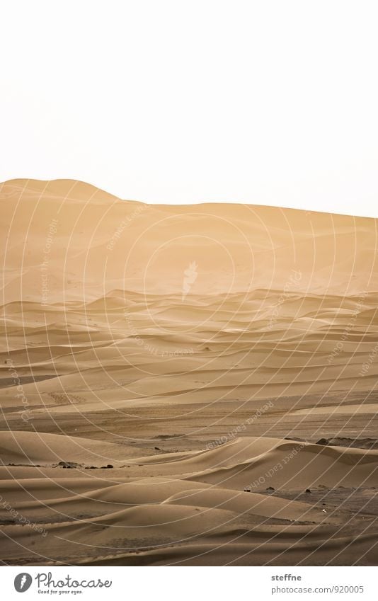 Wüste (2/10) Sand Düne Wärme Ferien & Urlaub & Reisen Tourismus Naher und Mittlerer Osten Arabien Sahara 100 und eine Nacht Marokko Algerien Tunesien Abenteuer