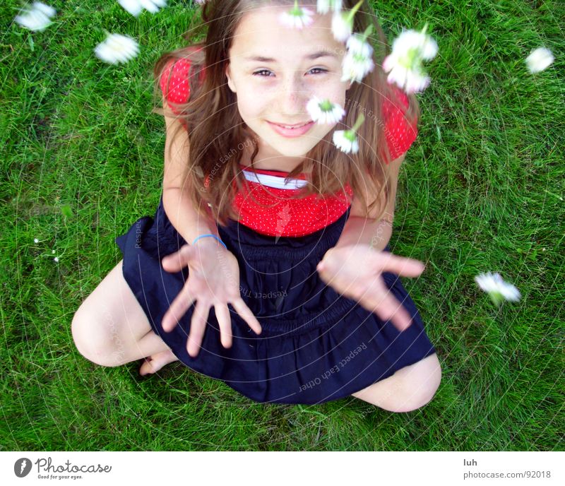 Sommerregen. 2 Gänseblümchen grün Gras Blume rot weiß Frühling springen Fröhlichkeit Gesundheit Regen Kind Jugendliche Märchen fantastisch Mädchen Rasen flowers
