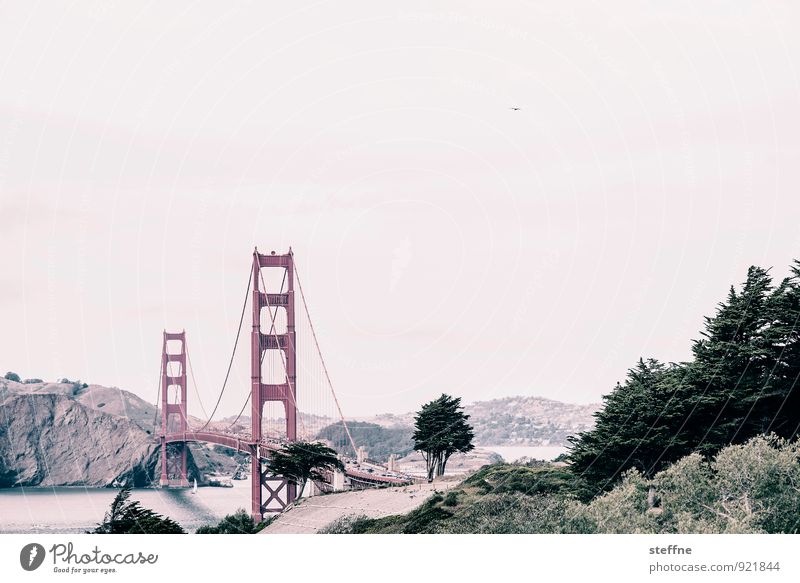 Auf güldene Zeiten, Anne! Sommer San Francisco USA Sehenswürdigkeit Wahrzeichen Golden Gate Bridge außergewöhnlich Farbfoto Außenaufnahme