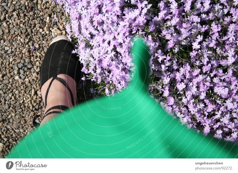 "Sommerkleid im Wind" Blume Schuhe Gefühle Kleid grün violett Sandale Kies Blüte Sturm Frau