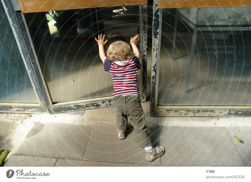 Kleiner Türöffner Kind Kleinkind Zwerg aufmachen Glastür offen drücken Fensterscheibe Junge rückwärts Rückansicht
