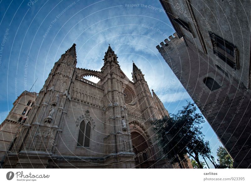 Kathedrale Himmel Schönes Wetter Kirche Sehenswürdigkeit alt ästhetisch gigantisch blau Religion & Glaube Tourismus Tradition Ferne Gotik La Seu