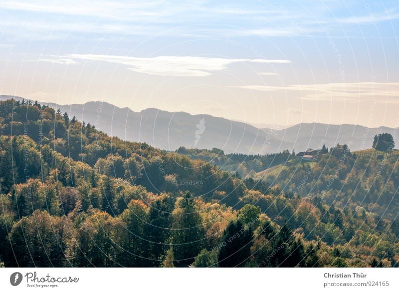 Herbstlandschaft Ferien & Urlaub & Reisen Tourismus Ausflug Ferne Umwelt Natur Landschaft Himmel Wolken Schönes Wetter Pflanze Baum Gras Sträucher Feld Wald
