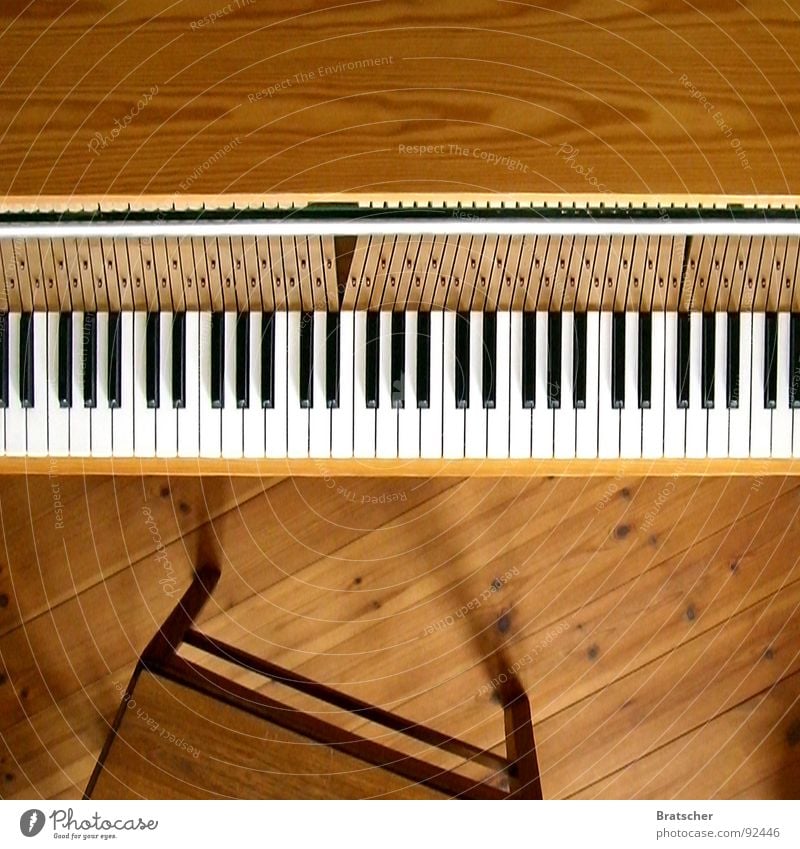 Ein Klavier, ein Klavier! Farbfoto Innenaufnahme Studioaufnahme Menschenleer Textfreiraum oben Tag Schatten Starke Tiefenschärfe Vogelperspektive Glück Spielen
