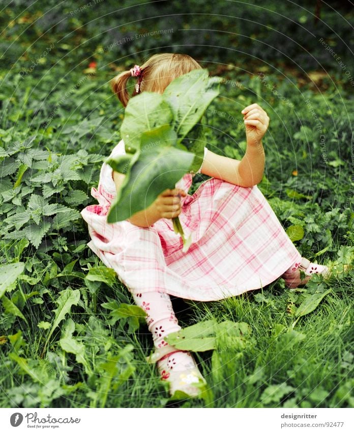 Kontraste Kind Mädchen Kleid rosa kariert Gras Blatt Brennnessel grün Spielen sitzen child Bekleidung grass leaves play Unkraut Heilpflanzen