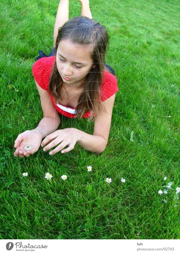 Zähle die Zeichen des Sommers. grün Wiese Gras Gänseblümchen Blume liegen Erholung Frühling Rasen zählen Natur Mädchen 13-18 Jahre langhaarig dunkelhaarig