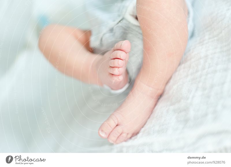 fresh elegant Spielen Kinderzimmer Mensch Baby Körper Haut Beine Fuß Zehen Wade Speckfalte 1 0-12 Monate liegen schaukeln niedlich weich blau Gefühle Glück