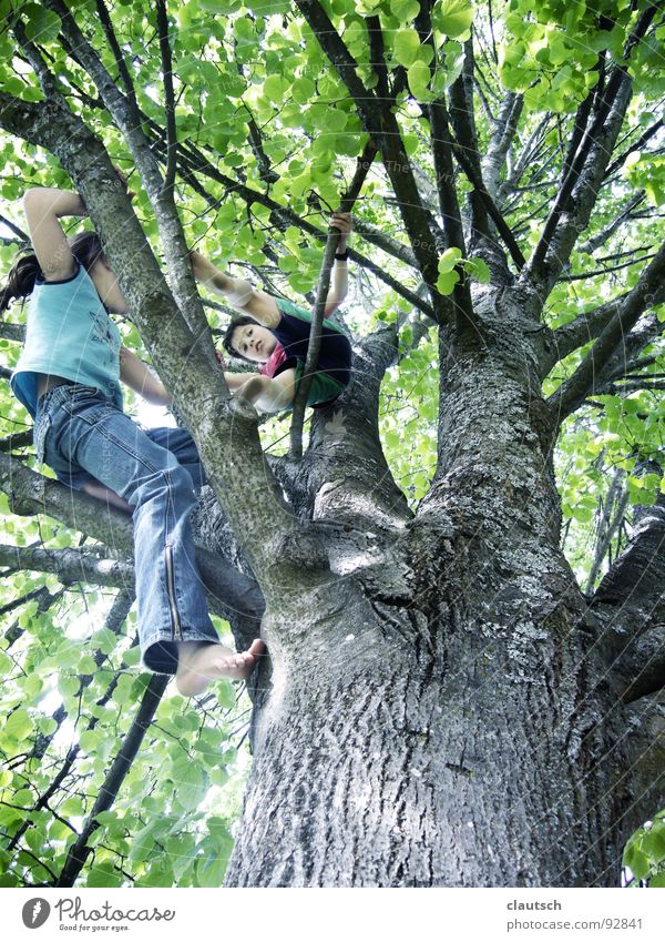 ich komme auch ... Baum hoch Blatt Kind Junge Mädchen Spielen Aktion Wald Freude Klettern Begeisterung fun Natur oben