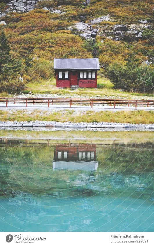 rotes Haus spiegelt sich im Wasser eines Norwegischen Fjordes Dorf Fischerdorf Kleinstadt Hafenstadt Einfamilienhaus einfach Freundlichkeit maritim natürlich