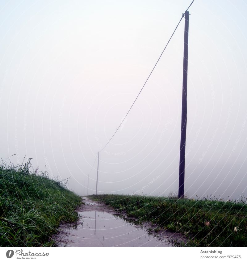 Wetter Umwelt Natur Landschaft Pflanze Luft Wasser Herbst schlechtes Wetter Nebel Gras Wiese Wege & Pfade stehen dunkel kalt grau grün trüb Pfütze Strommast