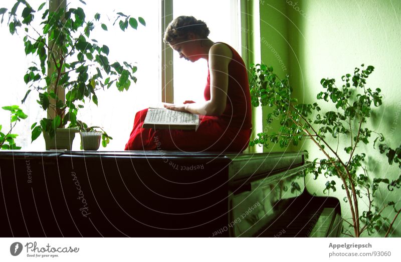 beflügelt Klavier Buch grün schwarz gepflegt ruhig Halbschlaf Fenster Tapete Blumentopf rot Frau Kleid lesen Suche Sehnsucht Kunst Kunsthandwerk Konzentration