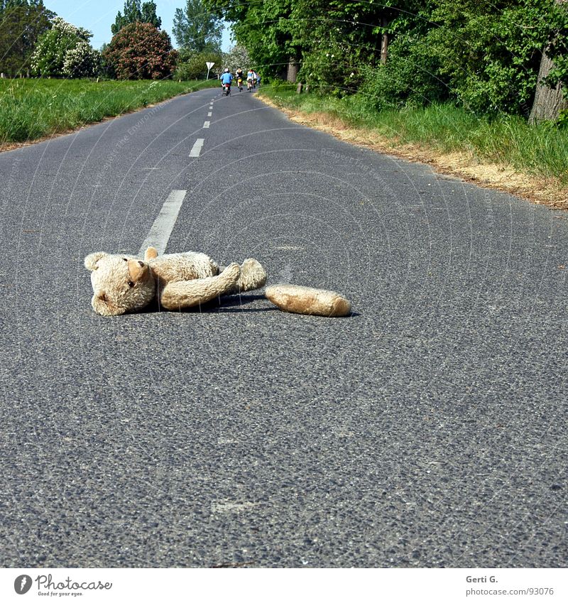 Fahrerflucht flüchten wegfahren hängen lassen Unfall Erste Hilfe verloren Verkehrsunfall Asphalt Straßenmitte Spuren Tier Stofftiere Teddybär Spielzeug