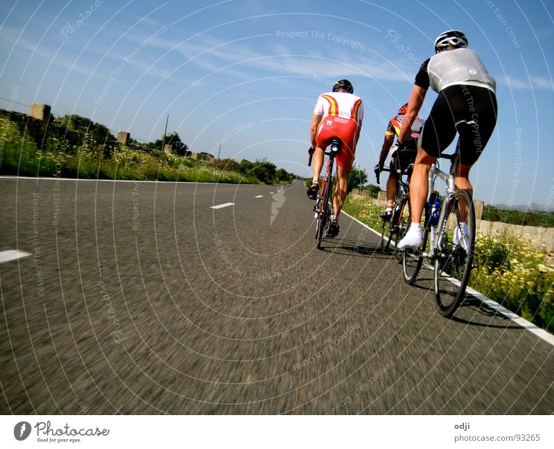 Speed Radrennen Geschwindigkeit Fahrradfahren Asphalt Rennrad Sport Straße Fitness