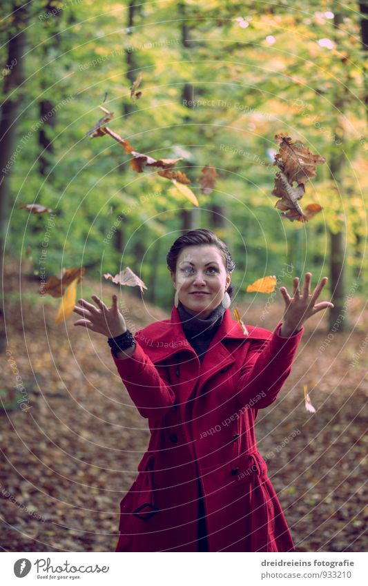 herbstliche Zauberei feminin Frau Erwachsene Natur Sonnenlicht Herbst Schönes Wetter Park Wald Jacke schwarzhaarig brünett Bewegung Liebe Spielen ästhetisch