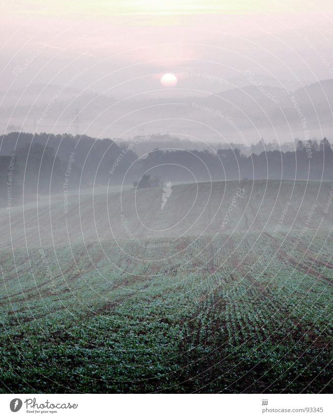 tschechischer morgennebel Nebel Sonnenaufgang Feld aufwachen Morgennebel Tschechien Hügel Europa Kraft Tal Furche Landschaft