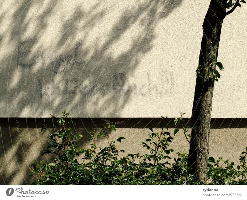 Engel - Ich liebe Dich! Wand Haus Gebäude beschmutzen Schmiererei Sinn Öffentlich Tagger Baum Stadt Gefühle lesen Wunsch Kommunizieren Graffiti Wandmalereien