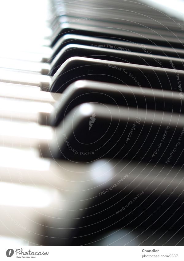 Tasten Synthesizer Musik aufsteigen Entertainment berühren Treppe Stuffen Schwarzweißfoto Ton Technik & Technologie Musikgerät