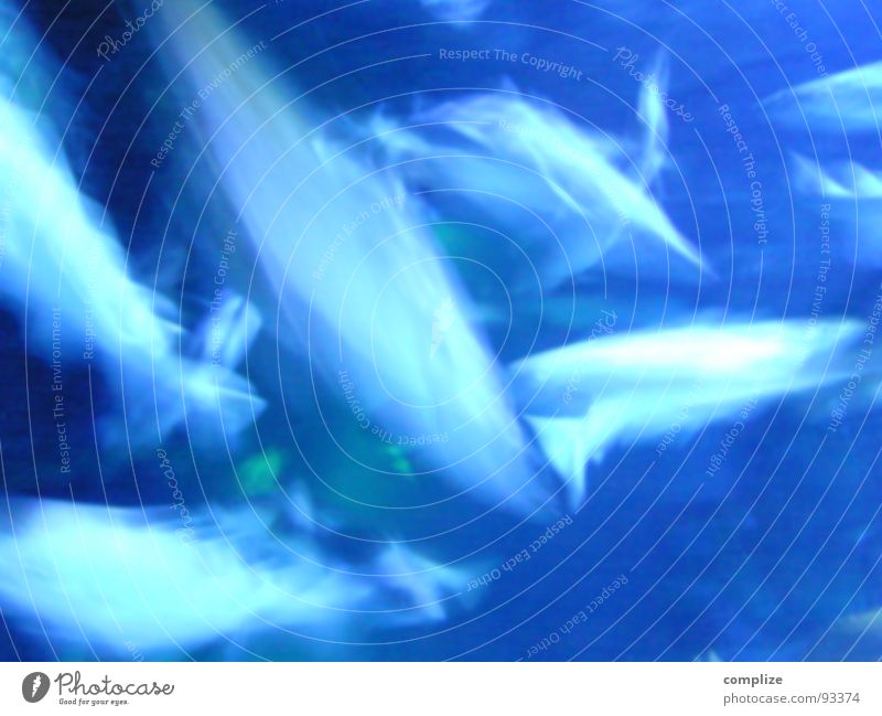 undersea hell-blau Bewegungsunschärfe Aquarium Meer Meeresfrüchte Hintergrundbild Farbenspiel See Angeln Fischer Spielen Licht Wasser Strukturen & Formen