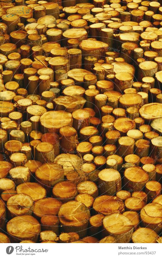 HOLZ Natur Baum Holz gelb Haufen Stapel Holzstapel Baumstamm Abholzung Strukturen & Formen Kontrast Hintergrundbild Baum fällen roh sehr viele holzig Bauholz