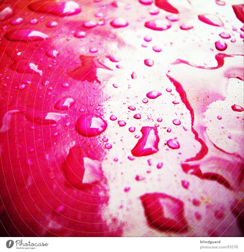 Feucht Rosa Nahaufnahme glänzend nass feucht Licht Unwetter rosa dunkel Gewitter Wasser Makroaufnahme Statue Lampe Wassertropfen light slippery water Kunststoff