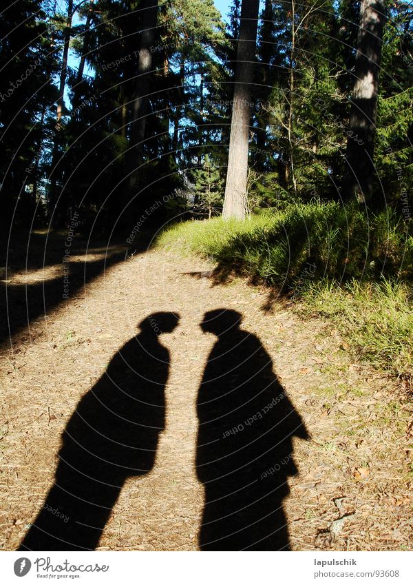 waldgefluester Wald Estland grün Fichte Physik geheimnisvoll Außenaufnahme Liebe Frühling frueling Paar maenschen Schatten disskussion Wärme Natur