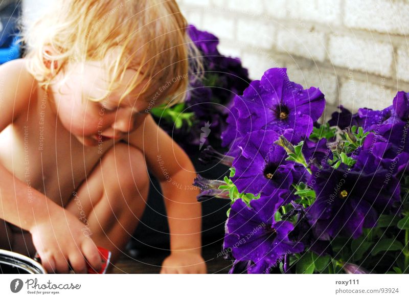 summer Mädchen Sommer Kind child flowers vacantie fun playing lovely.