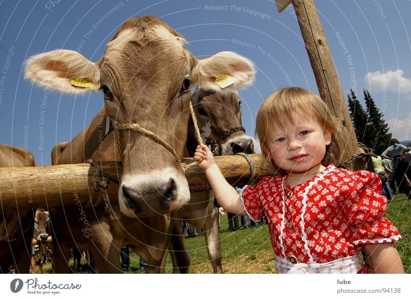 Jungbäuerin Landwirtschaft Kuh Rind Kalb Mädchen Tierzucht Rindviech Rinderzucht Viehausstellung