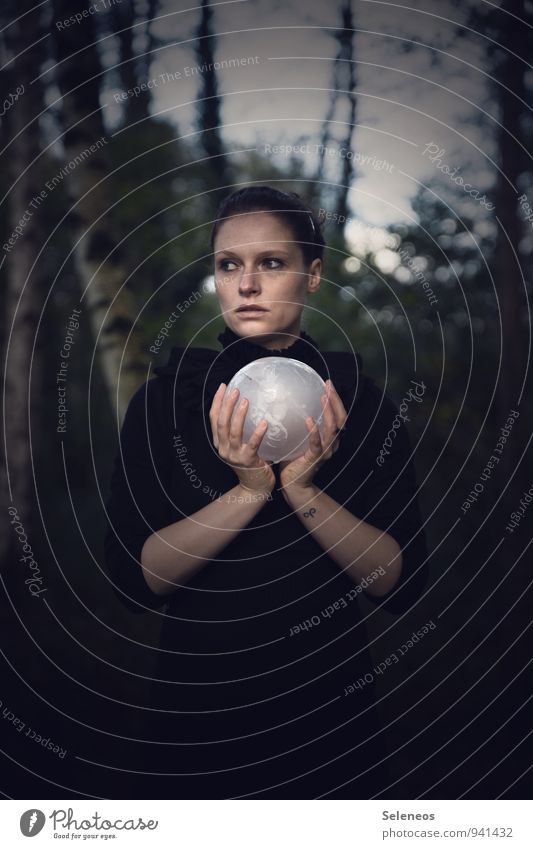 social freezing Mensch feminin Frau Erwachsene 1 Umwelt Natur Eis Frost Hagel Baum Wald frieren kalt Hagelkorn Eiskugel gefroren Farbfoto Gedeckte Farben