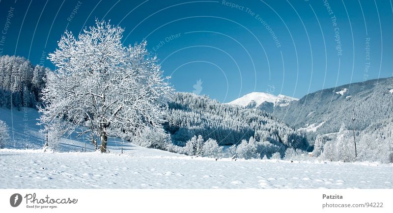 Traum in weiss und blau Winter Schneelandschaft Panorama (Aussicht) Baum Wiese Feld kalt gefroren Österreich Bundesland Kärnten Frieden Landschaft Himmel